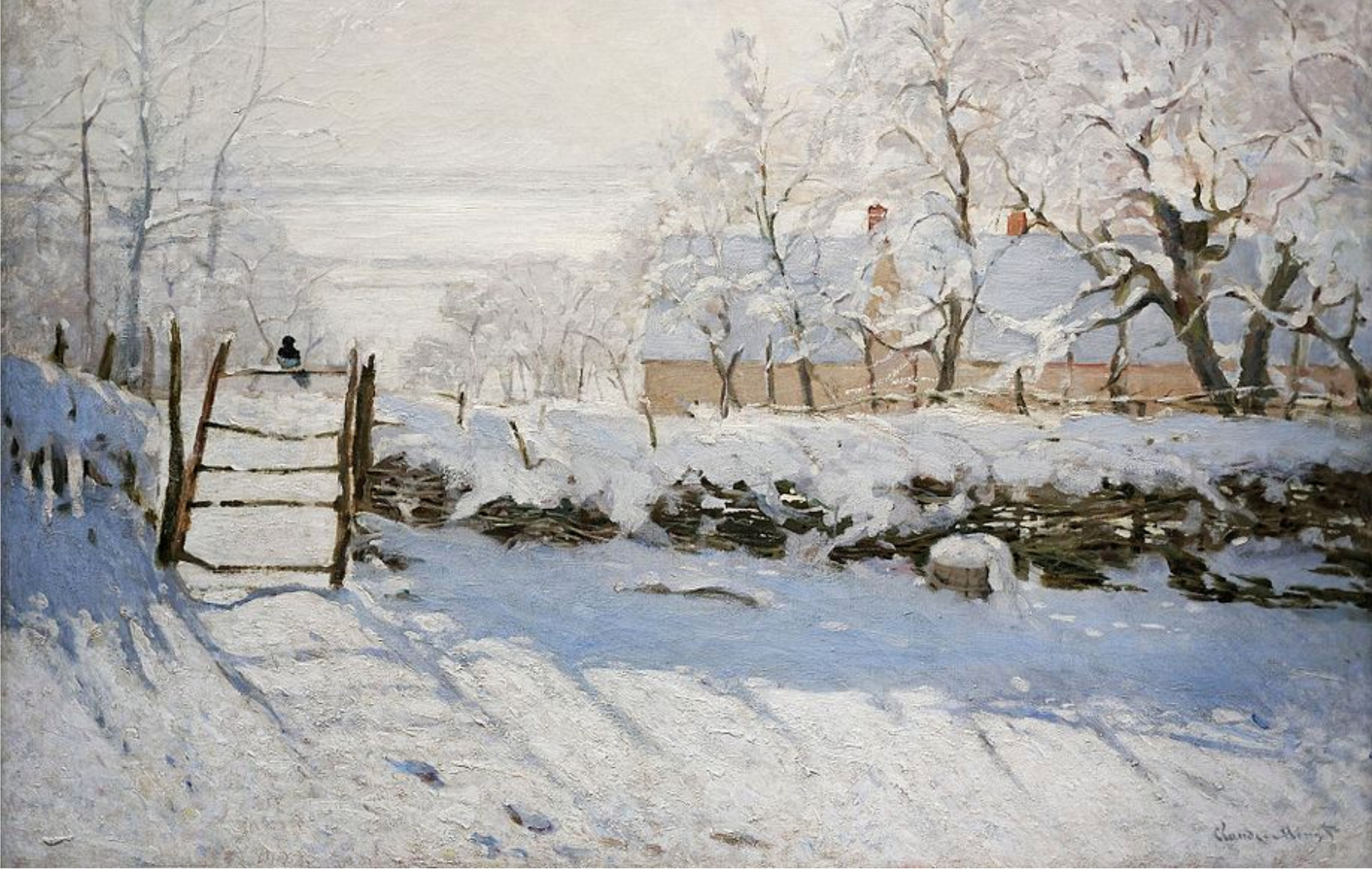 Crafting the Invisible Narrative: A Cinematographer's Approach to Visual Storytelling