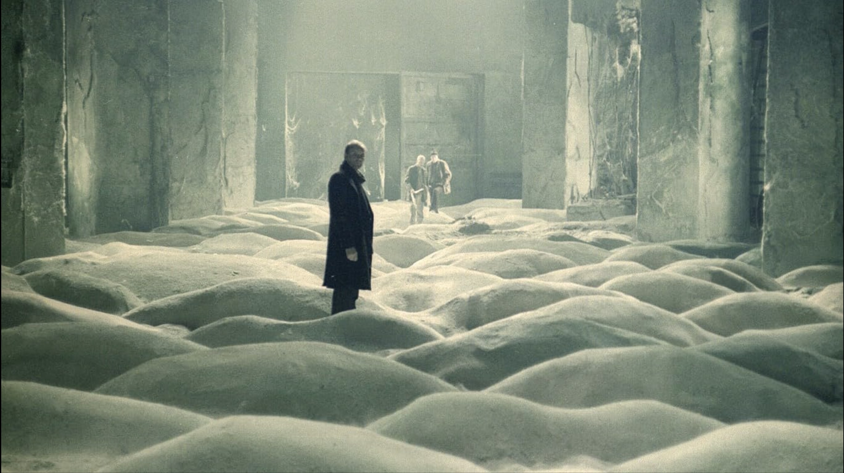 Ecologies of the Wound: Tarkovsky, Godard, and the Image of a Dying World